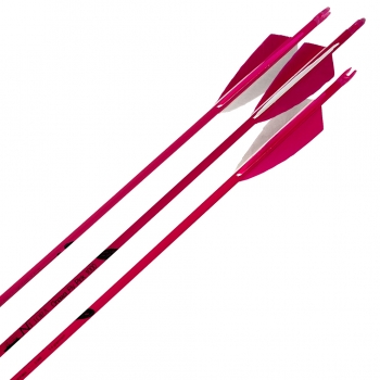 Fertigpfeil Color Line Pink Spine 1000