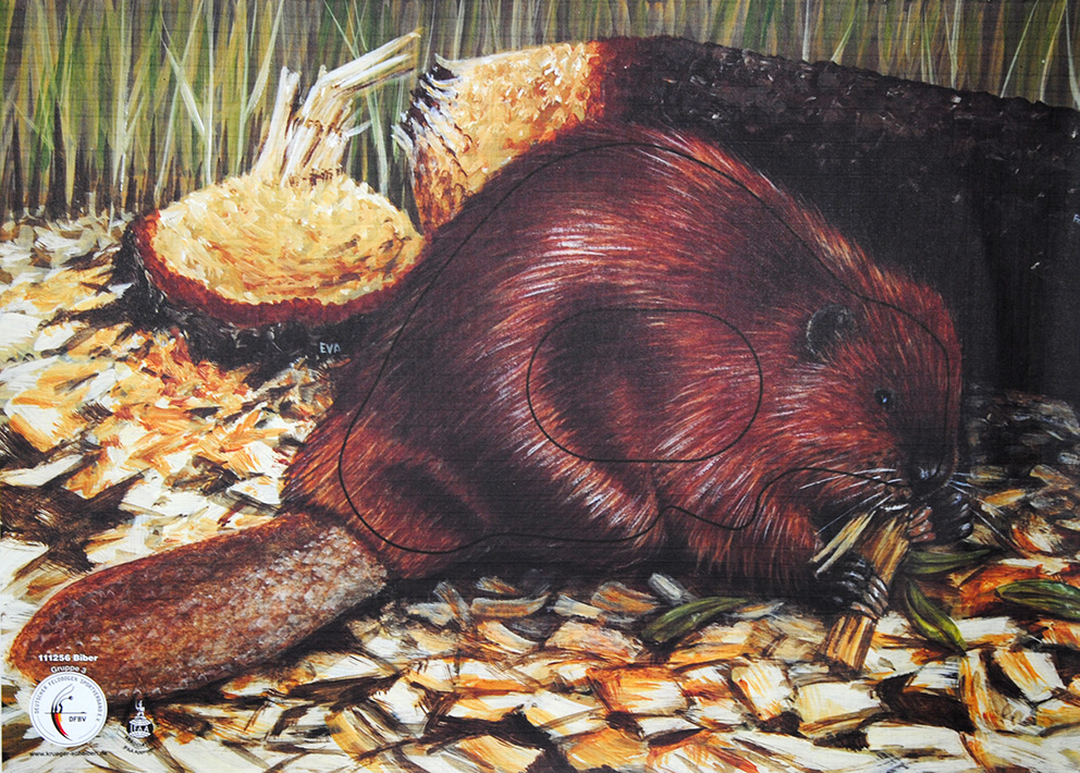 Scheibenauflage Krüger, Biber