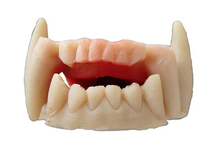 Leitold, Gebiss für Grizzlybär