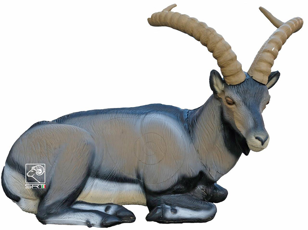 SRT Iberischer Steinbock liegend