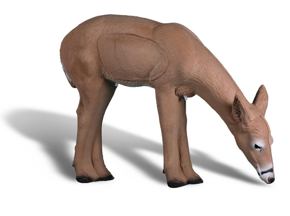 Rinehart Damhirschkuh äsend