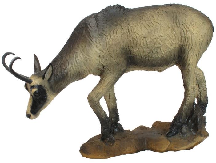 SRT Gämse Sommer äsend