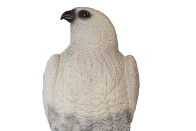 Franzbogen Falke Hell