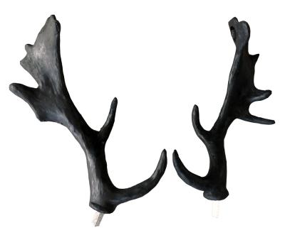 Leitold, 1 Paar Damhirschgeweih