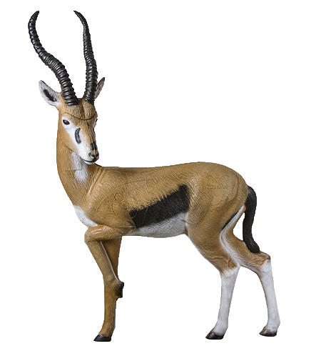 Rinehart Gazelle
