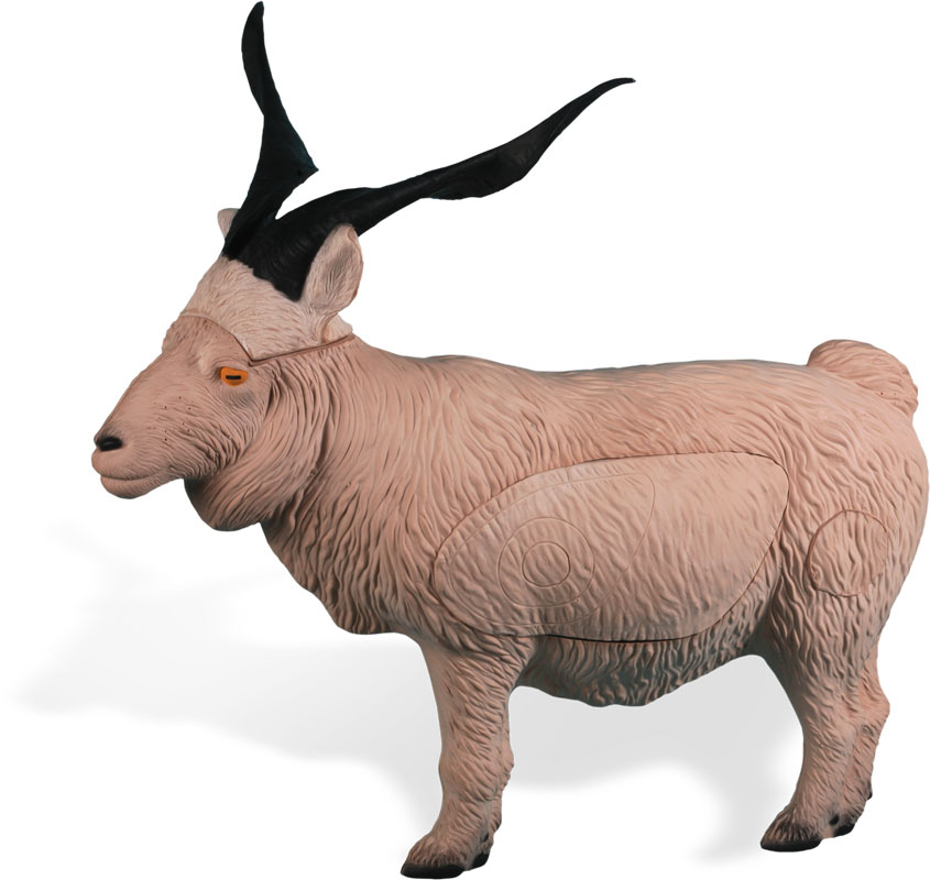 Rinehart Catalina Ziege