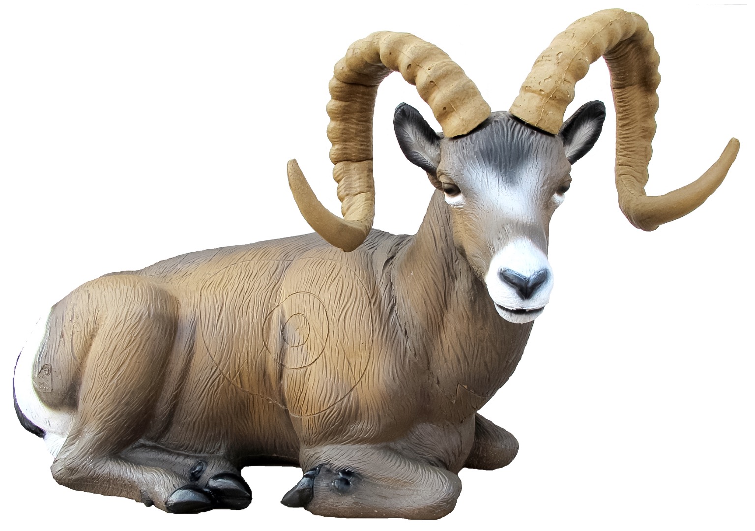 SRT Rocky Mountain Schaf liegend