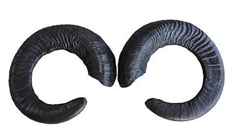 Leitold, 1 Paar Mufflon Hörner