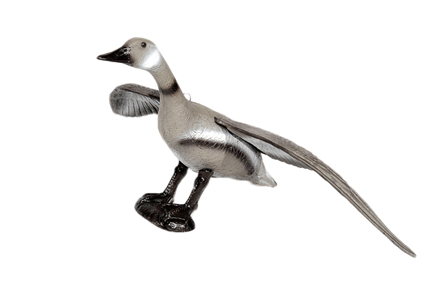 Franzbogen Fliegende Graugans