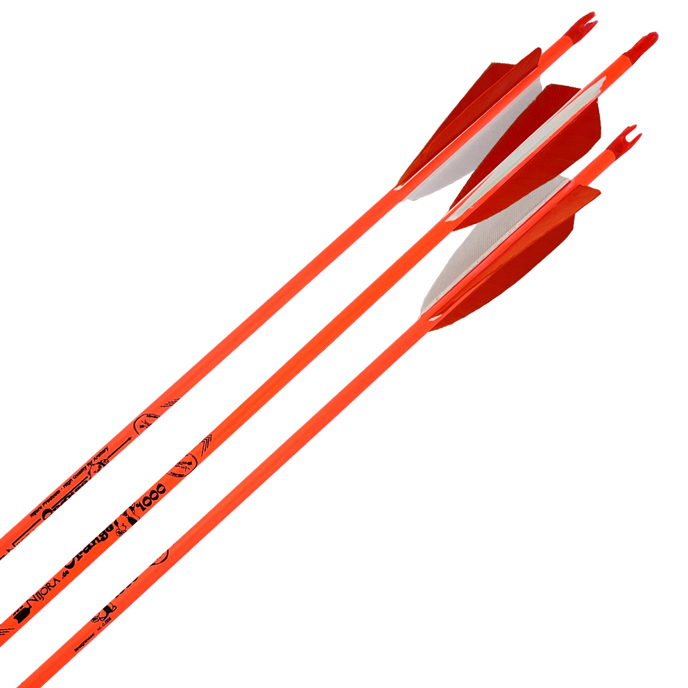 Fertigpfeil Color Line Orange Spine 1000