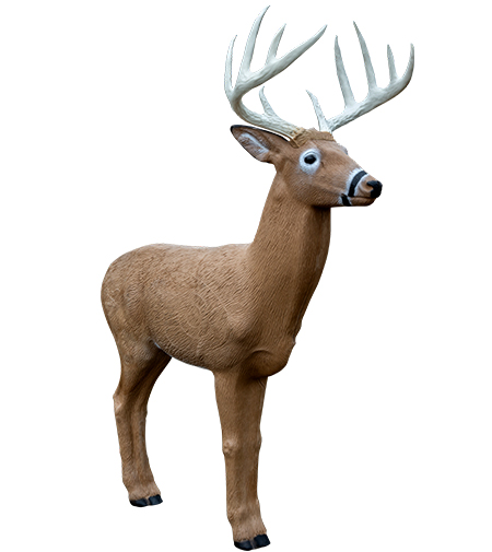 Rinehart Hirschbock Midwest