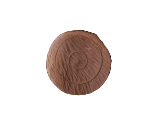 Eleven Braunbär - Insert