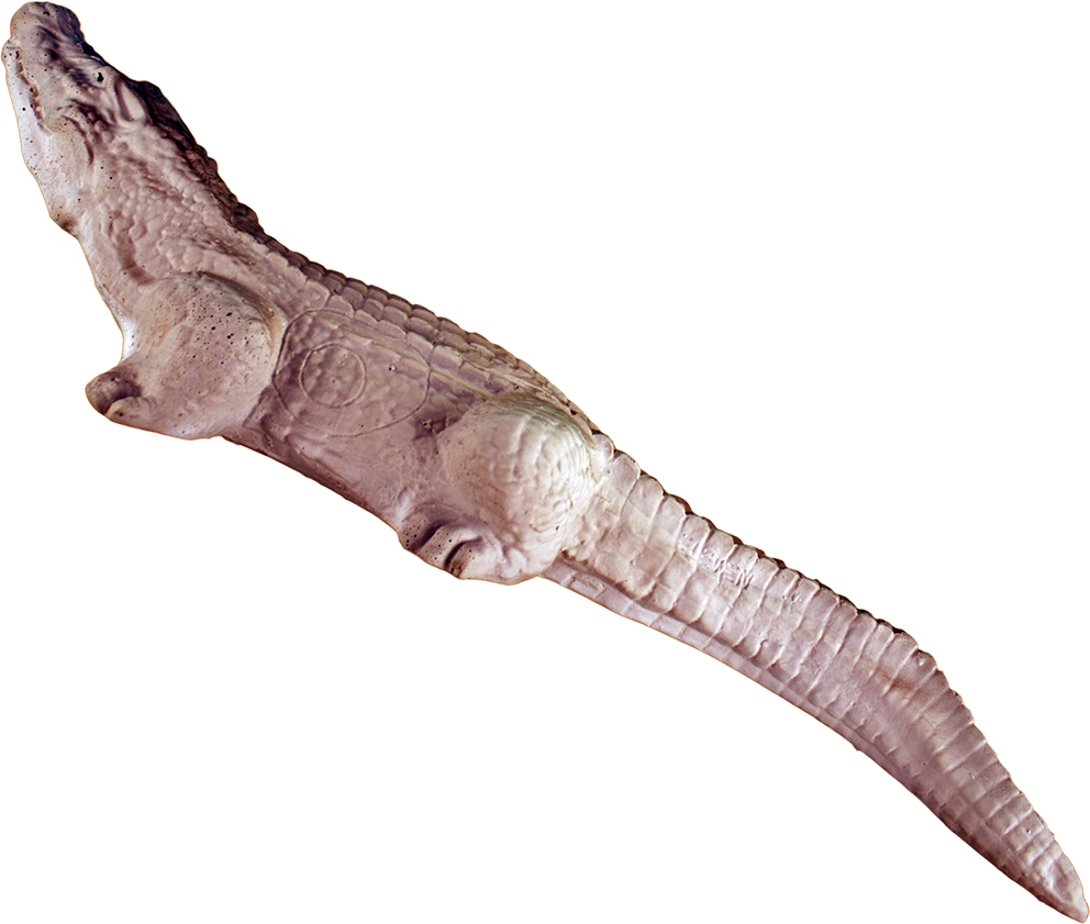 Eleven Kleines Krokodil