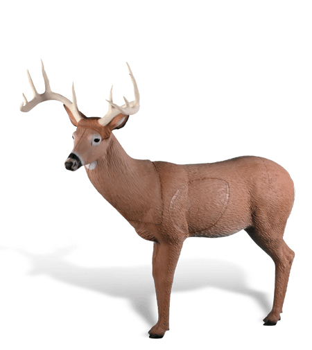 Rinehart Hirsch Big Ten