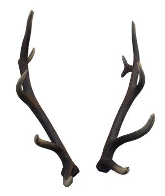 Leitold, 1 Paar Geweih für stehenden Rothirsch