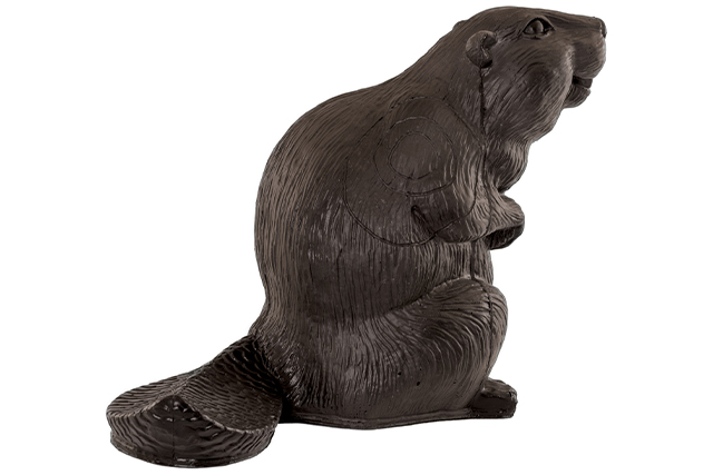 Franzbogen Großer Biber