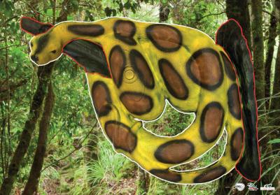 Scheibenauflage Leitold, 2D-Königsboa hell