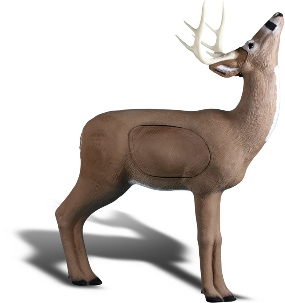 Rinehart Hirsch witternd