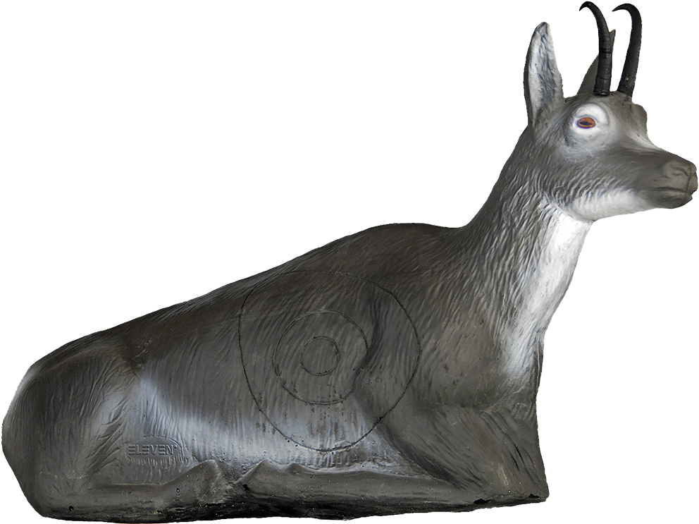 Eleven Gämse liegend